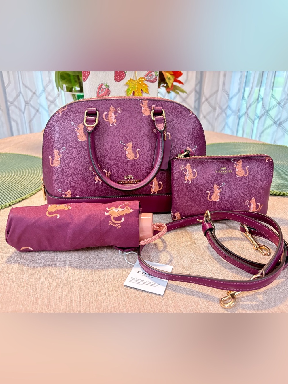 Coach Party Cats set